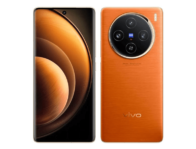 Vivo X100